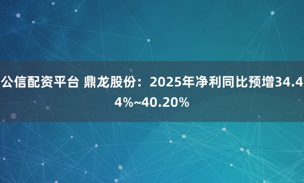 公信配资平台 鼎龙股份：2025年净利同比预增34.44%~40.20%